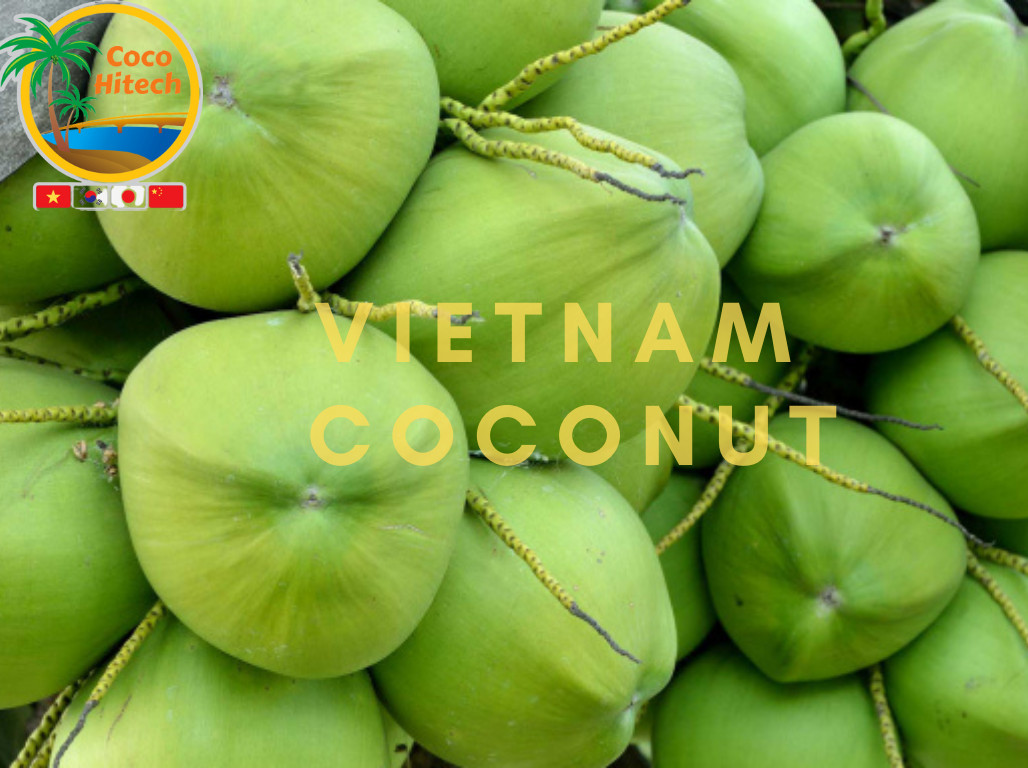 Dừa khô - Công Ty CP COCO HITECH